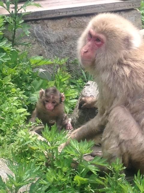 山之內 初汤旅馆酒店 外观 照片